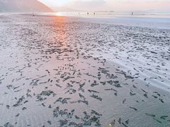 -台山黑沙湾海浴场