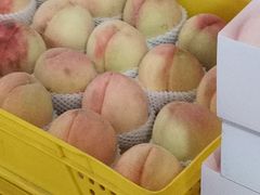 -老袁家蜜桃农场·阳山水蜜桃