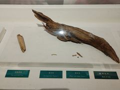-王府井古人类文化遗址博物馆