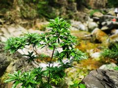 -太和古洞