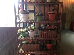 -长藤鬼校(龙翔店)