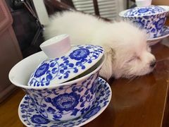 -恺庐茶园(宽窄巷子景区店)