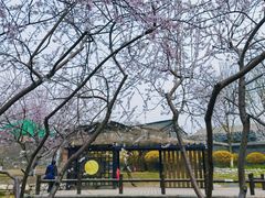 -三里河公园