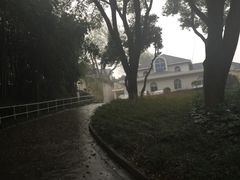 -上海市保健医疗中心(华东疗养院)