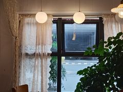 -树咖啡tree coffee