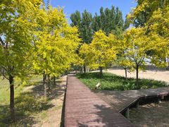 -东郊湿地公园