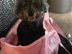 -鹿港小镇(金虹桥国际中心店)