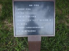 -元大都城垣遗址公园