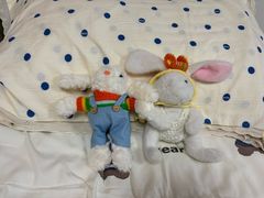 -东北大学附属辽宁爱尔眼科医院