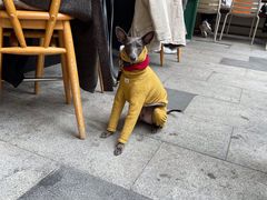 -RAC BAR(安福路店)