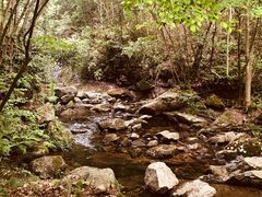 -燕子河大峡谷天坑仙境