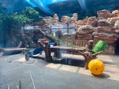 -石家庄市动物园