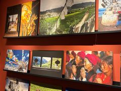 -花马天堂云南餐厅 Lost Heaven(外滩店)