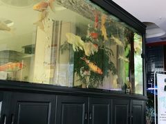 -玉雪春天(中正花园店)