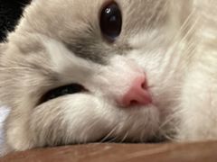 -LUNEURS月乐诗·法式冰淇淋(环贸店)