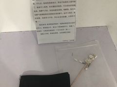 -成都失恋馆