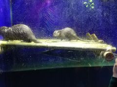 -石家庄海洋公园