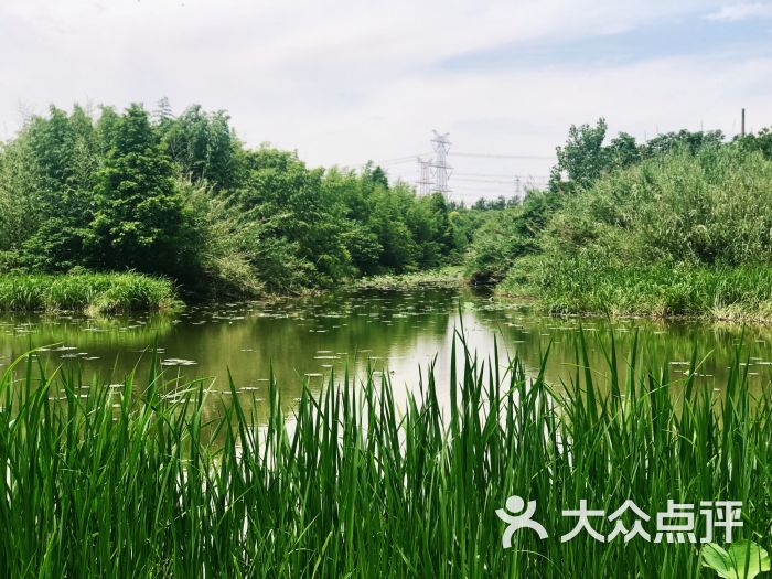 金海溼地公園-圖片-上海周邊遊-大眾點評網