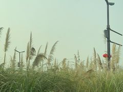 -中国天府农业博览园