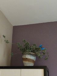 -香秀空间科技抗衰·美容中心