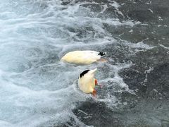 -水磨沟公园