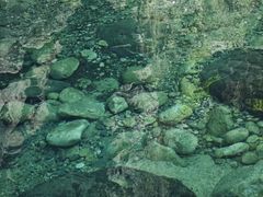 -石台牯牛降景区