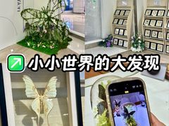 -深圳龙华星河COCO City(民治店)