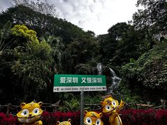 -青青世界