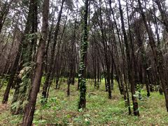 -北京宽沟会议中心