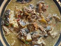 甲鱼-鳖皇甲鱼餐厅(平阳路店)