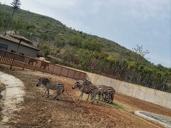 -南京金牛湖风景区