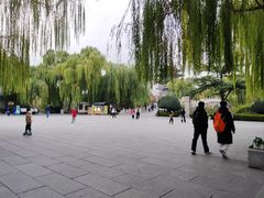 -鹊华居·地道鲁菜·海鲜·融合味(大明湖店)