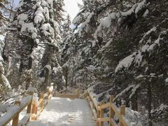 -黄龙山原始森林景区