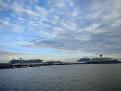 -吴淞口国际邮轮码头-停车场