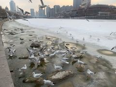 -海河游船(古文化街码头)
