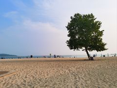 -青岛第一海水浴场