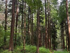 -罗田薄刀峰风景区