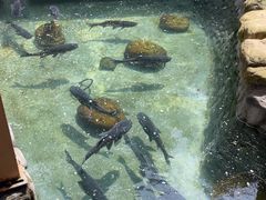 -耕渔小院·湖南鱼鲜(望城店)