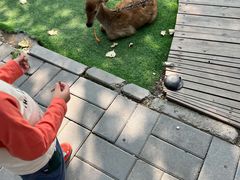 -北京鹿世界主题园