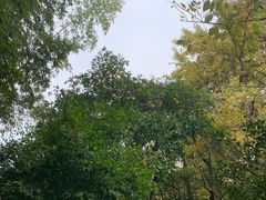 -汇龙潭