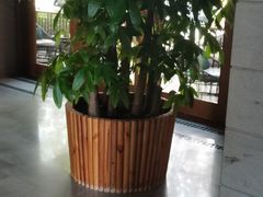 -浅深Cheersum(曹杨店)