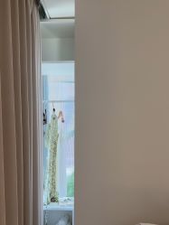 -BELLAREAL新美社