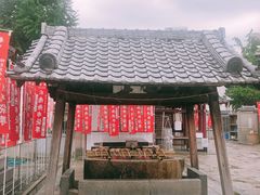 -有栖山 清光院 清水寺