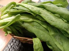 -老诚一锅羊蝎子(垡头店)