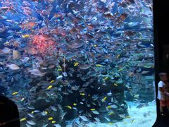 -成都浩海立方海洋公园