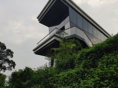 -金鸡山公园