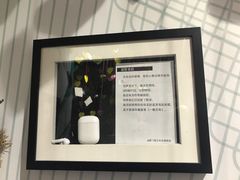 -星空失恋博物馆(双子塔旗舰店)