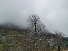 -硗碛藏寨·神木垒景区