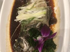 -小贝壳酒楼(经九路店)