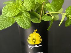 -喜茶(上海打浦桥日月光店)